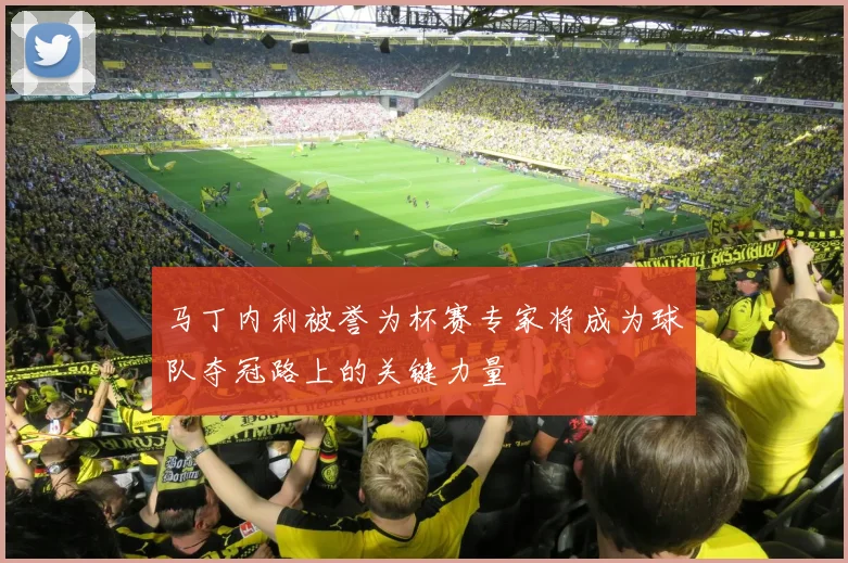 马丁内利被誉为杯赛专家将成为球队夺冠路上的关键力量