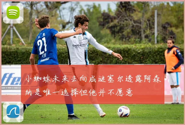小蜘蛛未来去向成谜塞尔透露阿森纳是唯一选择但他并不愿意